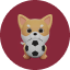 MiniFootball